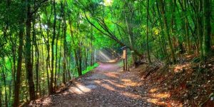 featured-1027