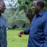 NADCO Implementation Committee Completes Initial Report