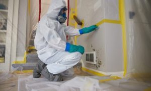 JCP_ServiceMaster_Restore_Mold_Damaged_0081-1200x800.2311211559364-1000x600-2