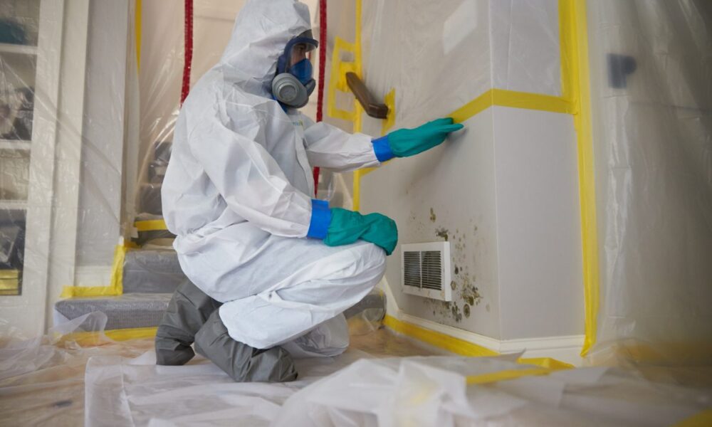 JCP_ServiceMaster_Restore_Mold_Damaged_0081-1200x800.2311211559364-1000x600-2