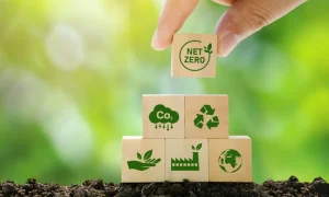 ey-wooden-blocks-hero-1000x600-5