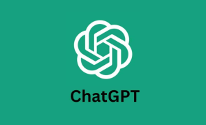 image-cp-1718200418433-compressed-11