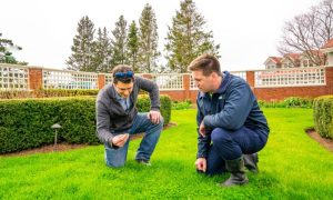 lawn-care-technician-customer-inspection-115-1000x600-2