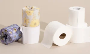 toilet-paper-2048px-4427-2x1-1-1000x600-2