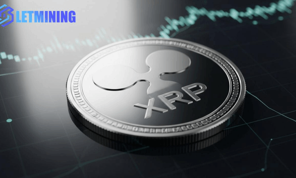 xrp-1000x600-4